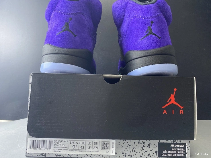 Grape” 136027-500 Jordan Air  5 “Alternate 0106